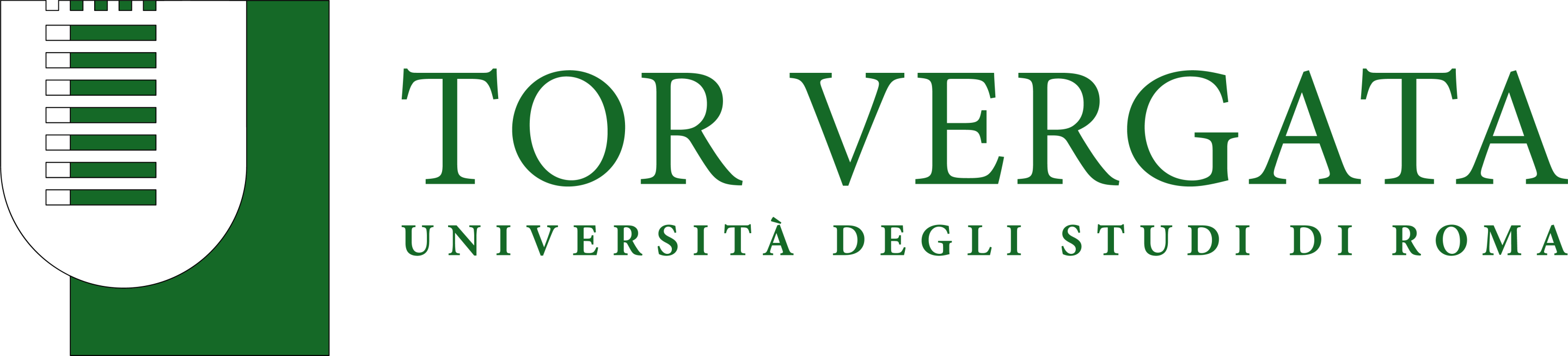Logo Université Tor Vergata