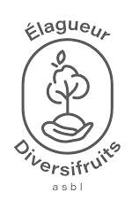 Logo ASBL Elagueur Diversifruits