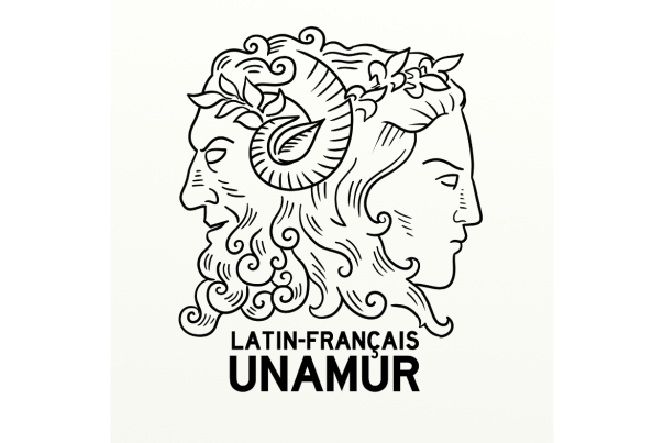 Logo LLAM