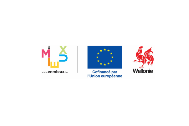 Logo "EnMieux-Europe-Wallonie" du projet MIRVALIS