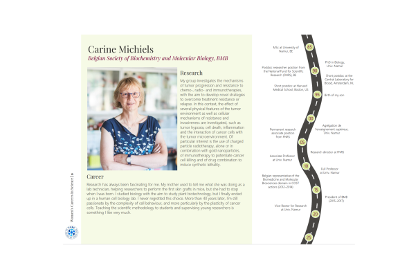 Article FEBS Carine Michiels