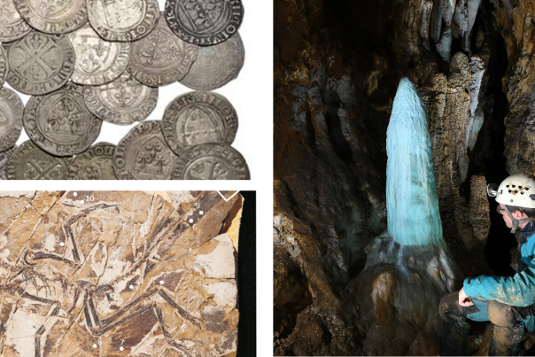 Pièces de monnaie anciennes, fossile d'Anchiornis Huxleyi et spéléothème