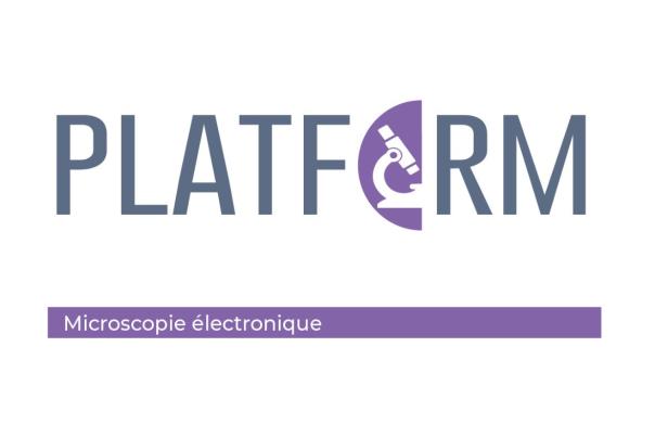 Logo microscopie électronique