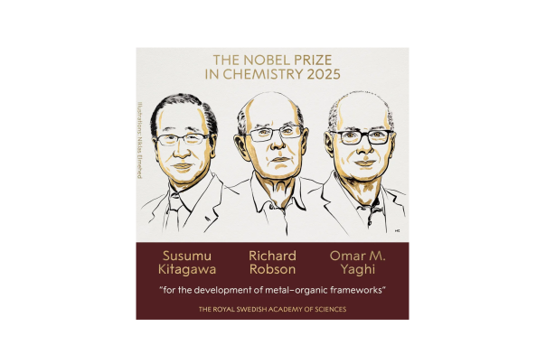 2025 Nobel Prize in Chemistry illustration - Credit: Niklas Helmehed