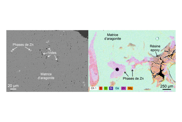 Prises de vue de spéléothèmes bleus de Malaval au microscope électronique à balayage montrant les phases riches en Zn. Gauche : Vue en électrons rétrodiffusés. Droite : Cartographie élémentaire.