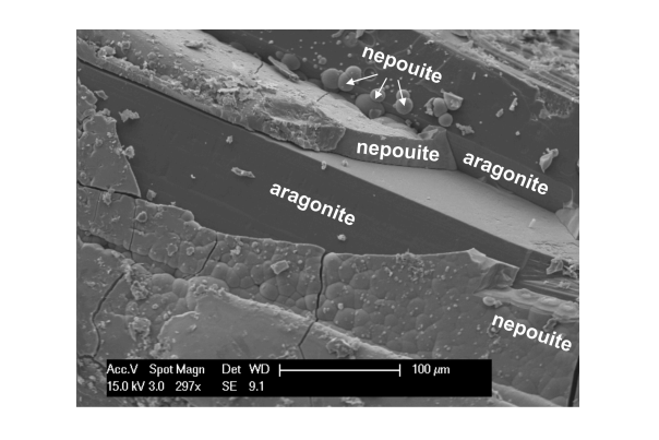 Photo : Vue au microscope électronique à balayage mettant en avant les dépôts de népouite sur les cristaux d’aragonite.