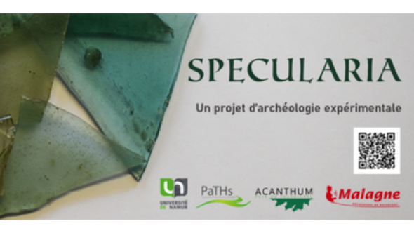 Specularia