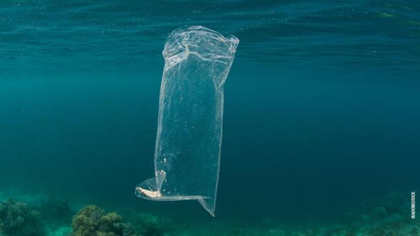 Sachet plastique dans la mer