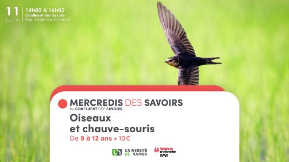 Banner Mercredis des Savoirs