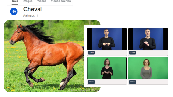 Traduction de cheval FR-LSFB