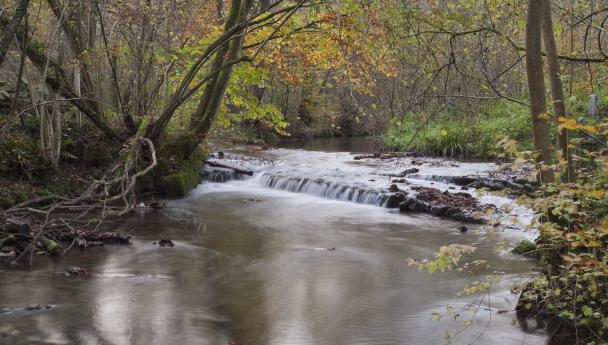 Haugimont - Rivière (c) Daniel Steenhaut