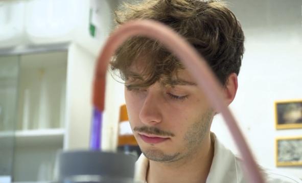 Master en biochimie et biologie moléculaire et cellulaire - mémoire