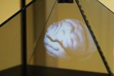 Hologramme d'un cerveau