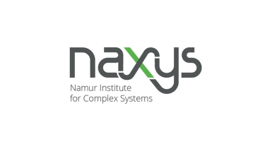 Logo de l'institut naXys