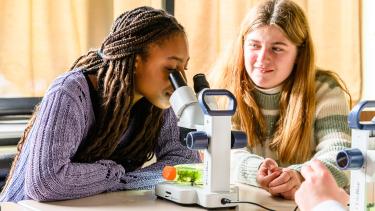Activité scolaire au microscope