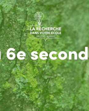 Les lichens de la recherche dans votre école