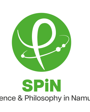 Logo du centre SPiN de l'Institut ESPHIN