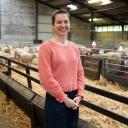Astrid Petit à la bergerie du Centre de Recherche Ovine (CRO)