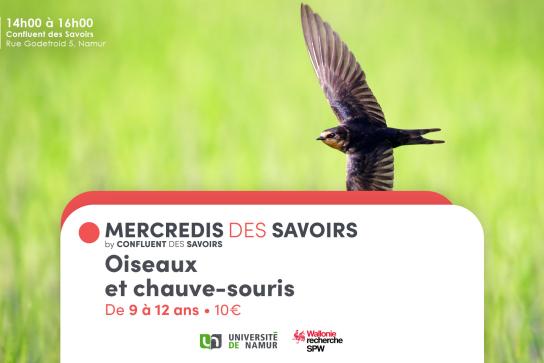 Banner Mercredis des Savoirs