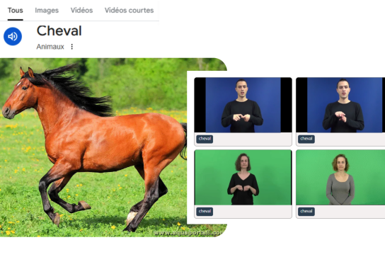 Traduction de cheval FR-LSFB