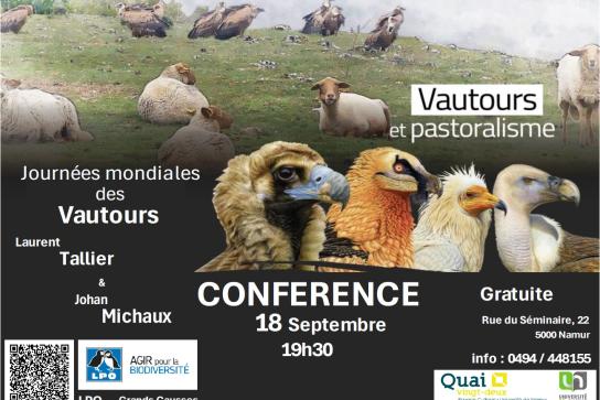visuel conférence