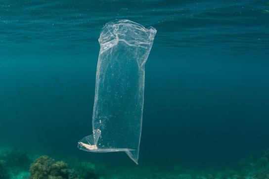 Sachet plastique dans la mer