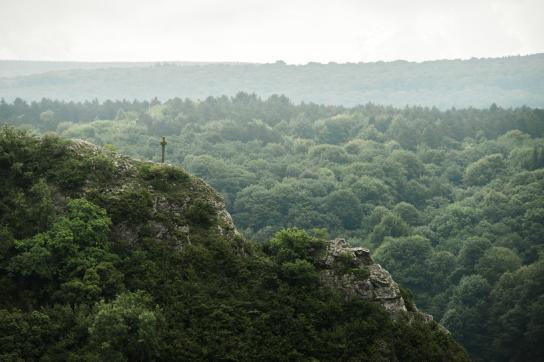 Un paysage de forêts typique de l'entre Sambre et Meuse