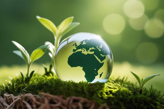 Représentation du globe terrestre dans un environnement vert