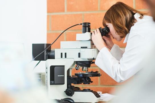 Chercheuse de l'UNamur qui regarde au microscope