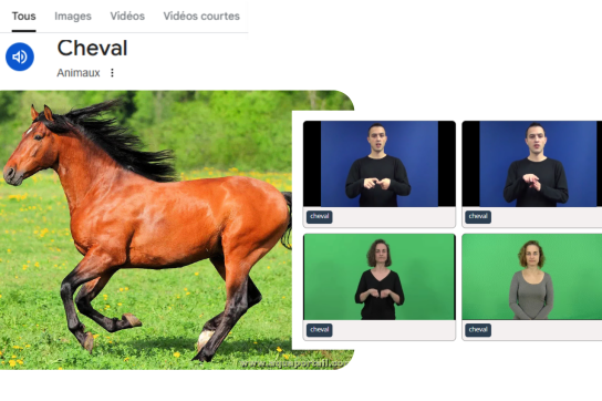 Traduction de cheval FR-LSFB